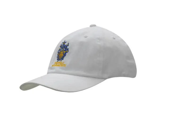Picture of Brushed Heavy Cotton Cap